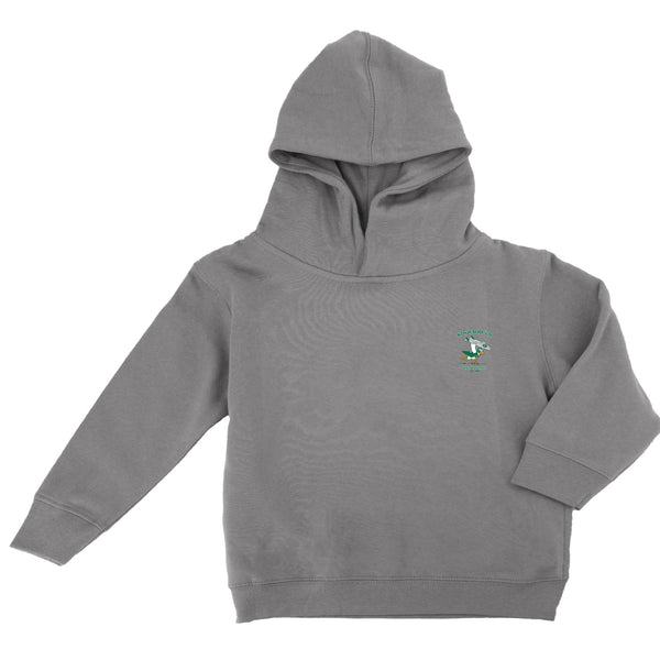 For the Birds Toddler Boys Pullover Hoodie - Nickle