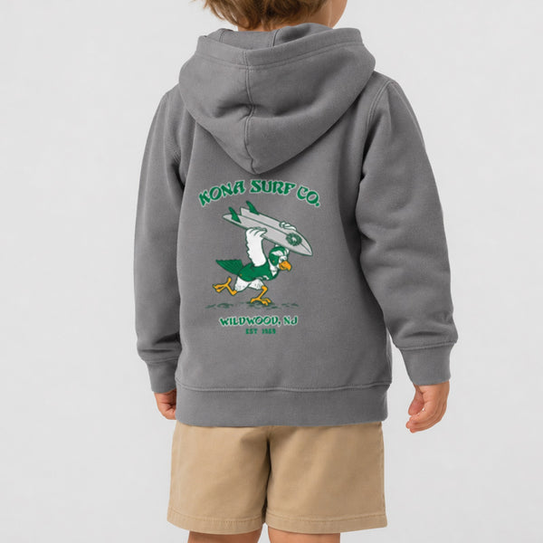 For the Birds Toddler Boys Pullover Hoodie - Nickle