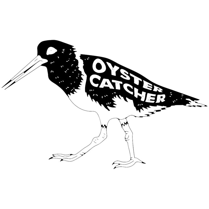 Oyster Catcher