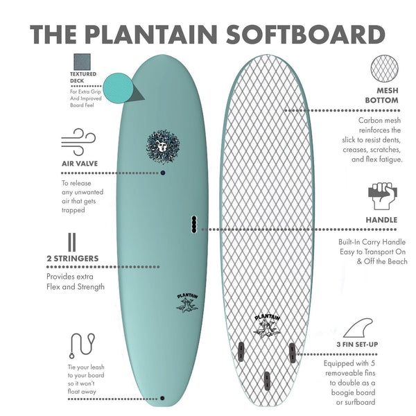 Plantain - Soft Top Foam Surfboard - Includes Leash and Fins