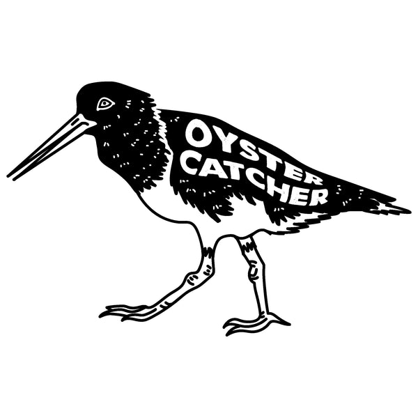 Oyster Catcher PU Series Surfboard