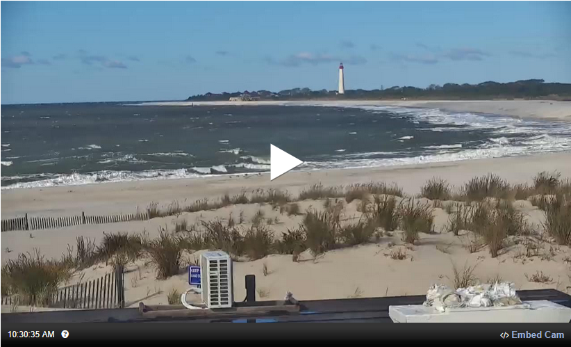 The Cove, Cape May live cam