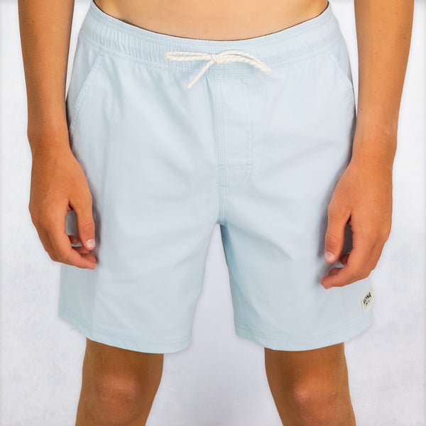 Harpoon Mens Elastic Boardshorts - Ice Blue