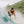 Birdwell x Kona 300 Collab Mens Boardshorts