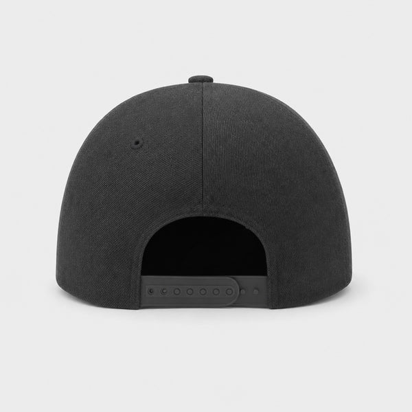 3D Standard Mens Snapback Hat