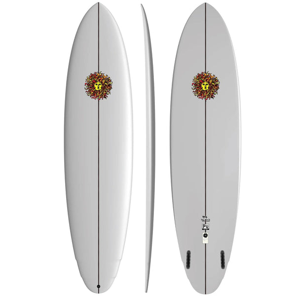 Old School Surfboard Rental - Demo