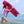 Coconut Bodyboard - Pink