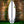 Jersey Jack EPS Truelite Series Surfboard - Clear/Green