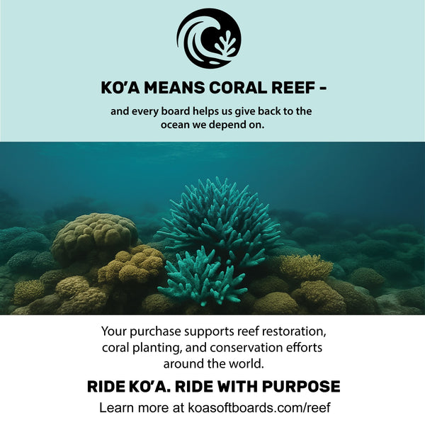 Koa Lemon Pop Softboard