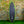 Peach Pit EPS Dark Phantom Series Surfboard