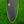 Peach Pit EPS Dark Phantom Series Surfboard - Black/Green