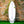 Jersey Jack PU Series Surfboard - Clear/Green