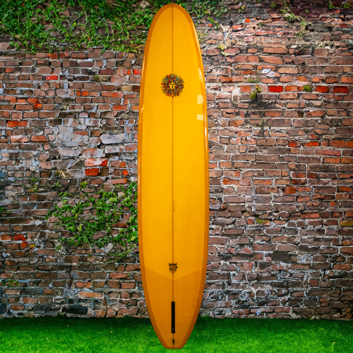 Bearded Pig Surfboard