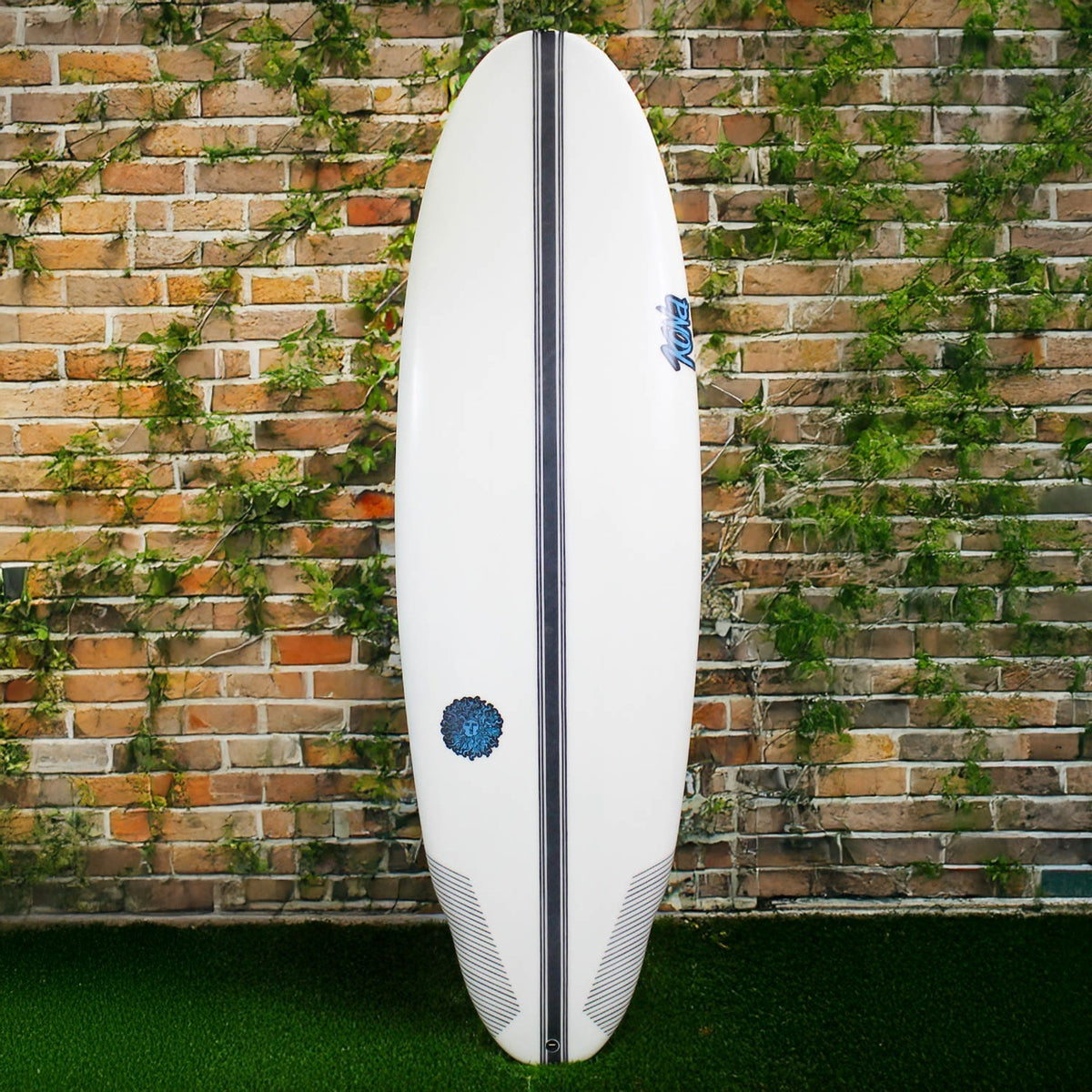 Oyster Catcher EPS Truelite Surfboard - Clear/Blue