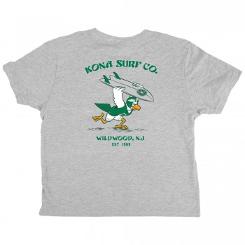For the Birds Infant Boys T-Shirt in Heather