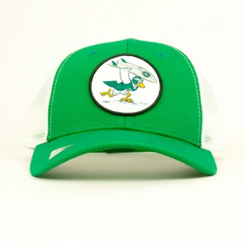 For the Birds Boys Snapback Hat in Green