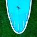 Oyster Catcher PU Series Surfboard